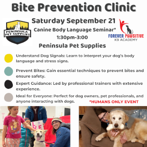 Dog Bite Prevention Seminar classes