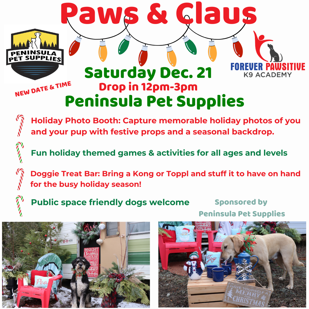 Dog Paws & Claus classes