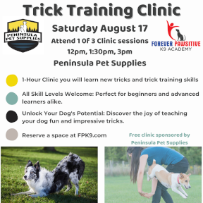 Dog – Trick Training Clinic classes