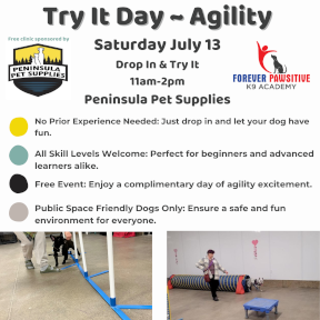 Dog Try-it Agility classes